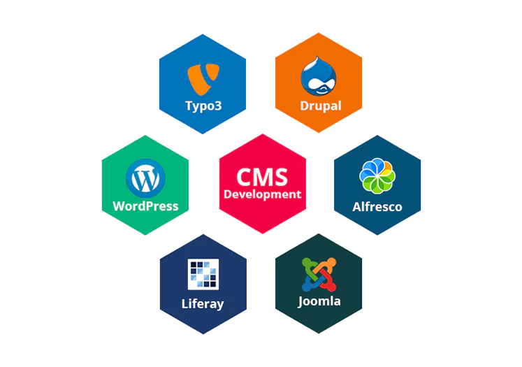 UI/UX Design